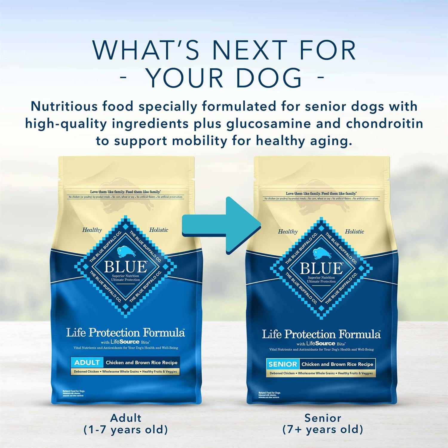 Adult Chicken & Brown Rice Dry Dog Food M30162