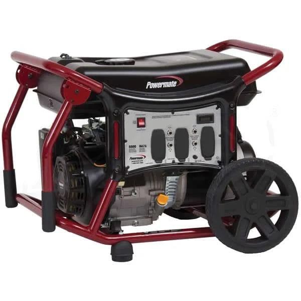 5500 Watt Portable Generator Z341652