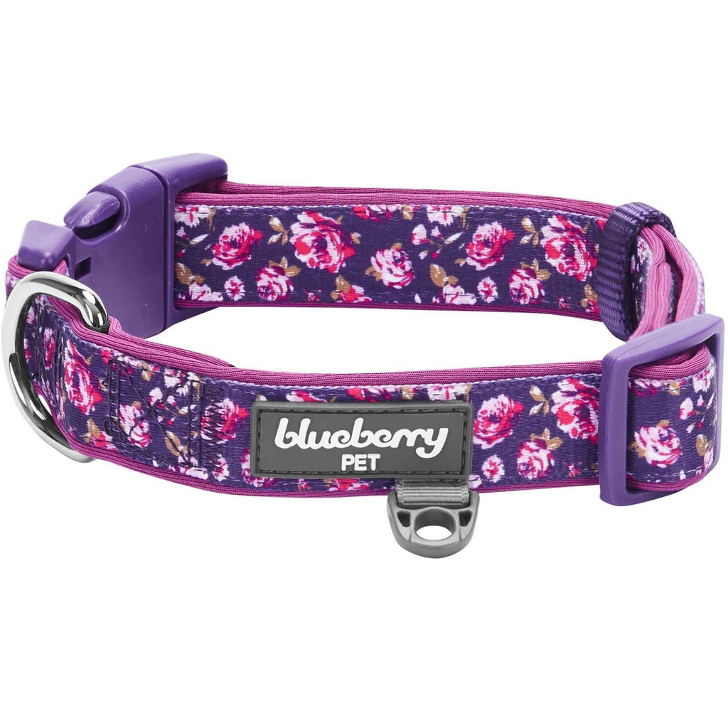 Blueberry Pet Dog Collar O1413