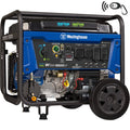 12,500 Peak Watt Dual Fuel Portable Generator with Electric Start F213