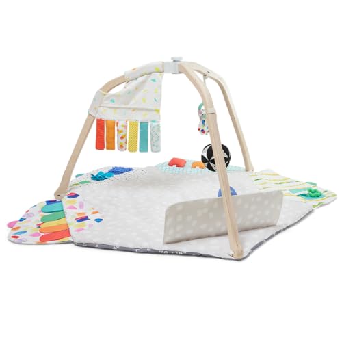 Stage-Based Developmental Activity Gym & Play Mat R992792