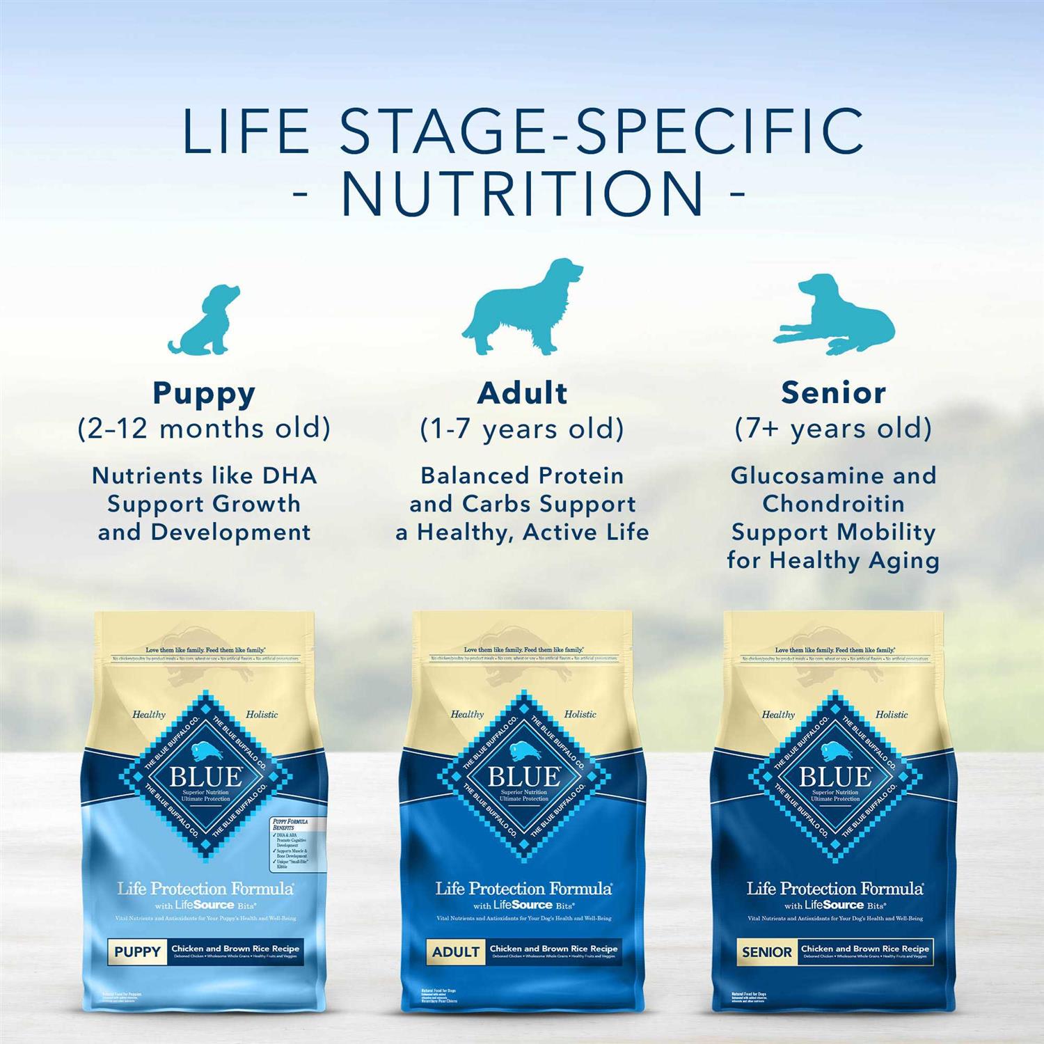 Adult Chicken & Brown Rice Dry Dog Food M30162