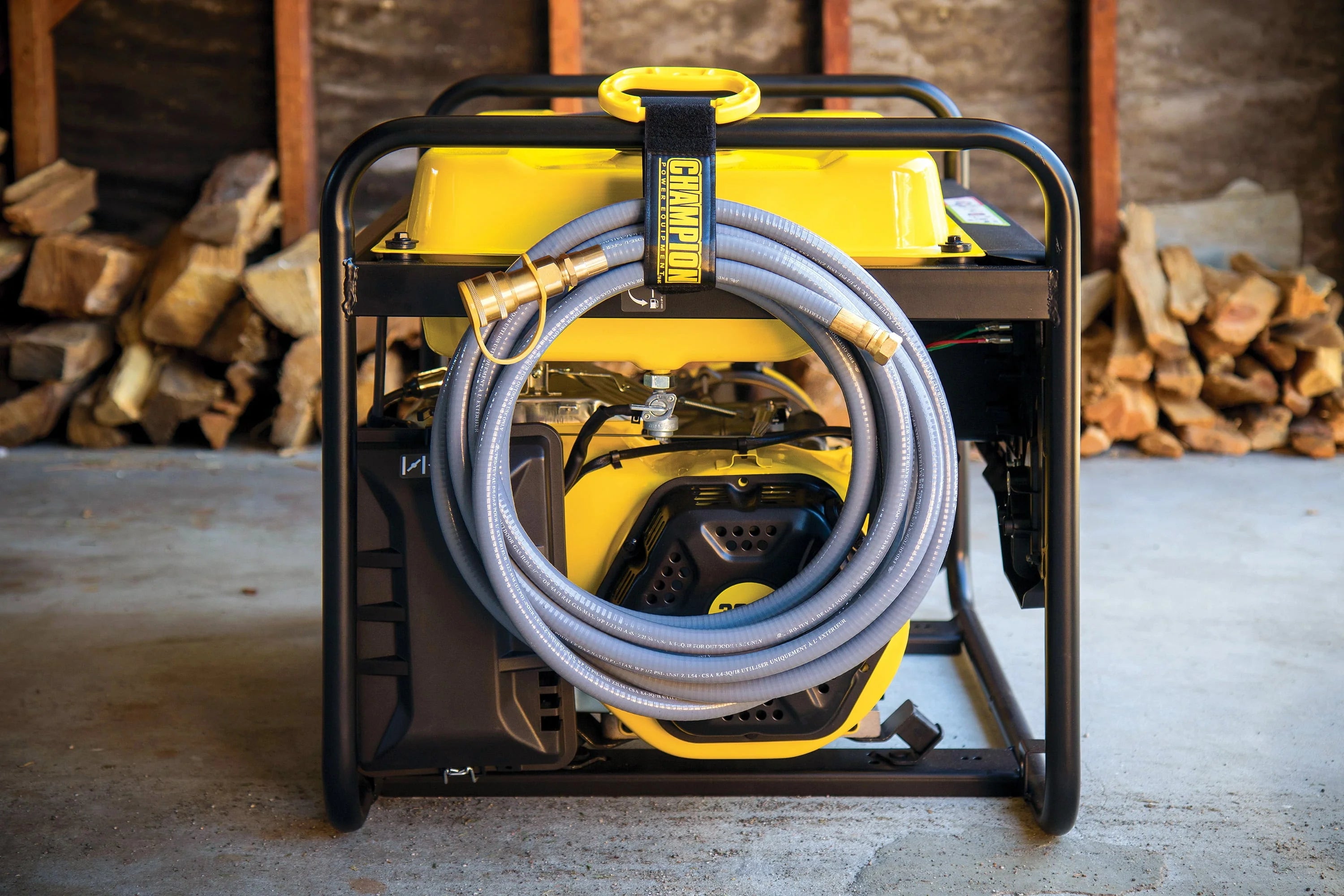 8000-Watts Tri-Fuel Portable Natural Gas Generator with Electric Start P436