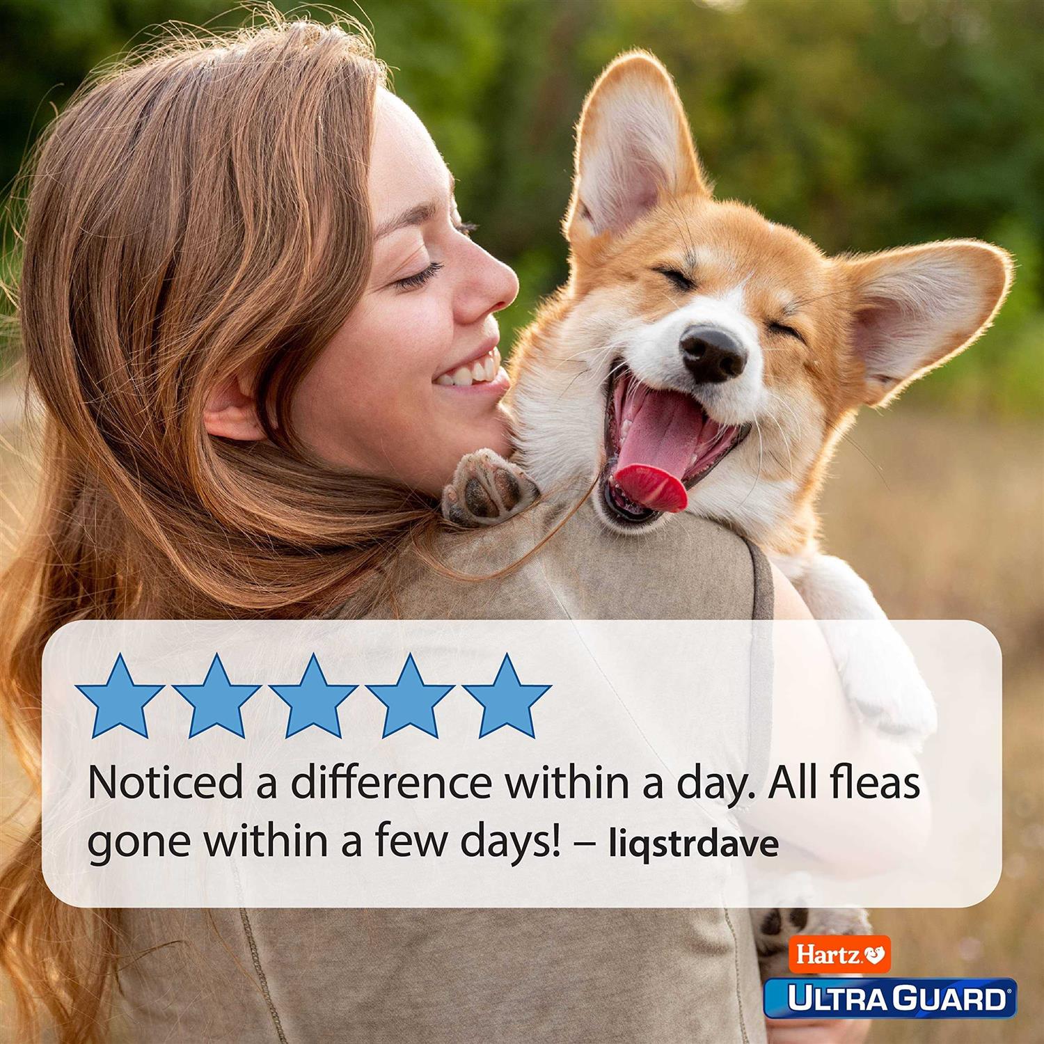 Flea & Tick Spray for Dogs Z3884