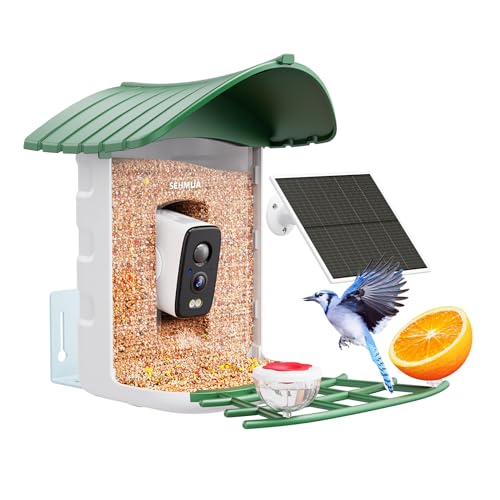 Bird Feeder with Camera, Solar Panel T974675