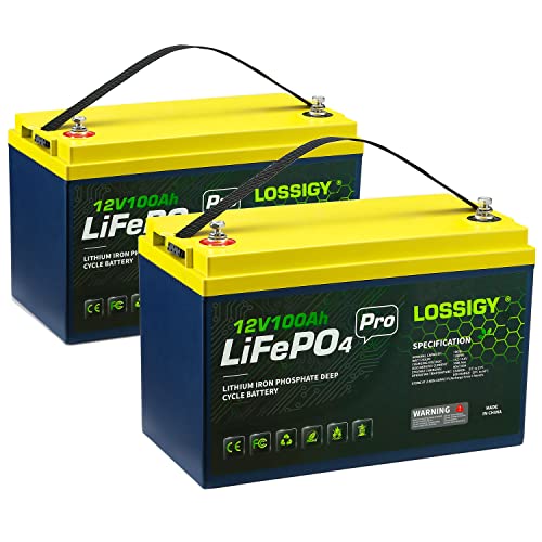 12V 100Ah 1280WH 100A BMS Lifepo4 Lithium Battery (2 pack) M72485
