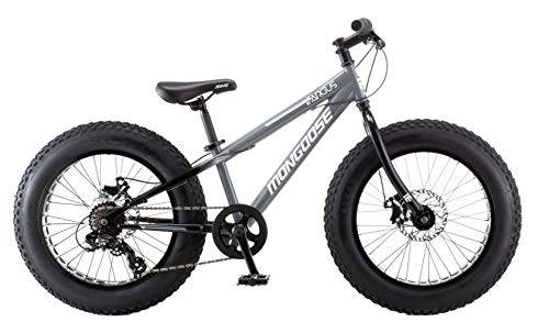Fat Tire Mountain Bike M7875