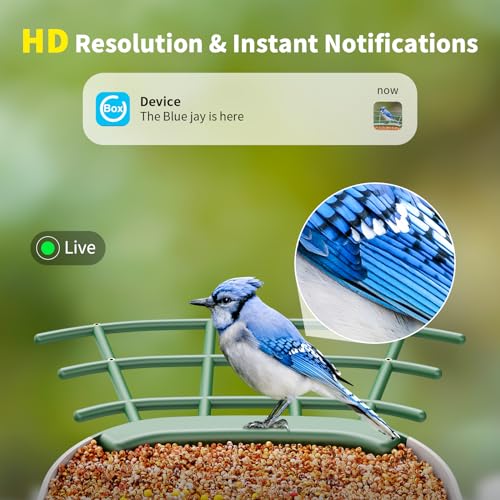 Bird Feeder with Camera, Solar Panel T974675