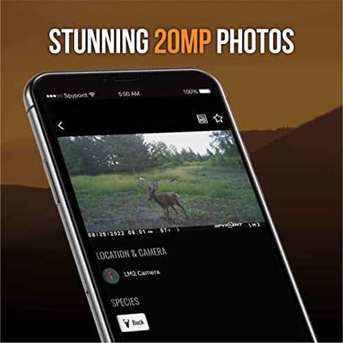 20MP Infrared Trail Camera with 90' Detection Range and 32GB Micro SD Card B9617