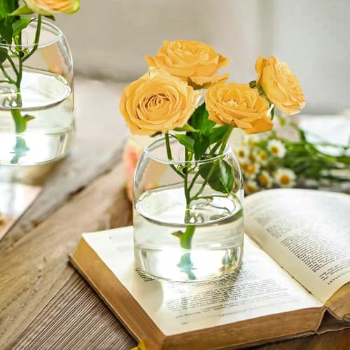 Clear Ribbed Glass Vase, 7.87 Inches E902