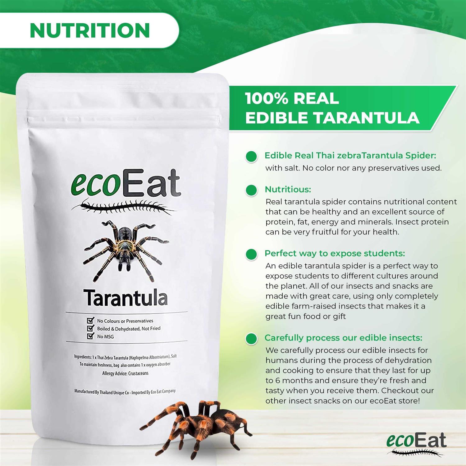 Edible Dehydrated Zebra Tarantula Insect J879