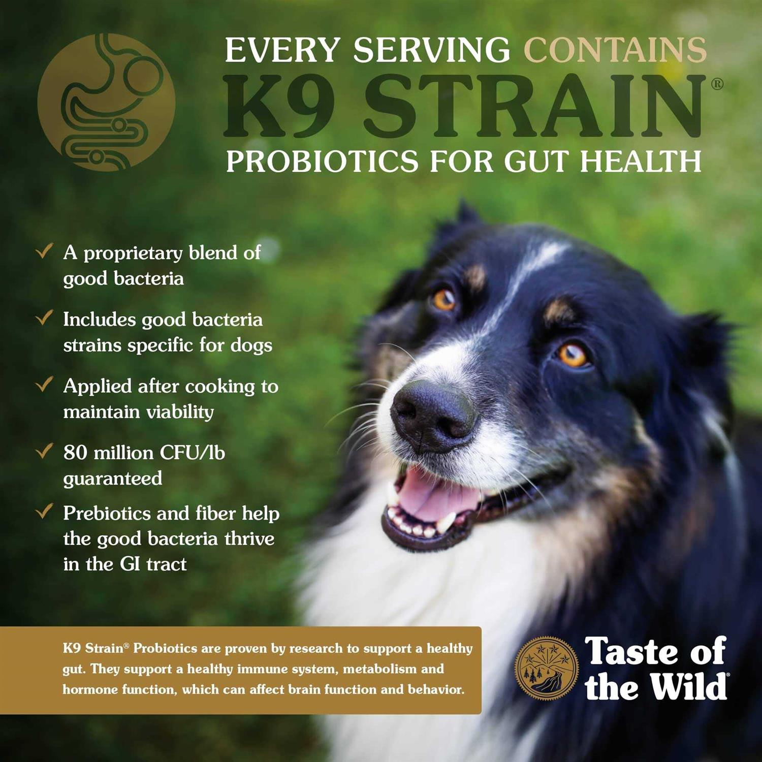 Ancient Stream with Smoked Salmon Dog Food U117637