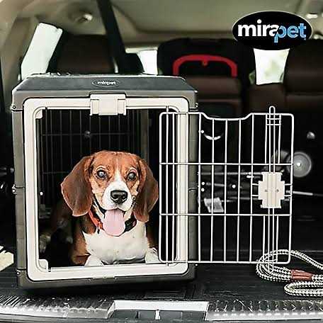 Pet carriers Airline Tsa Approved Travel crates for Cats and Dogs L610981