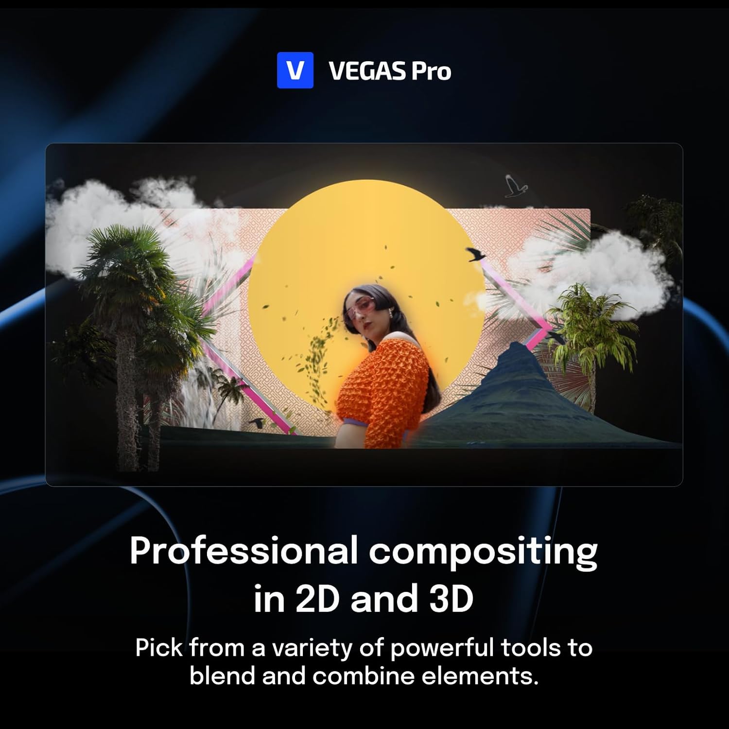 VEGAS Pro Suite 22 video editing software K8417