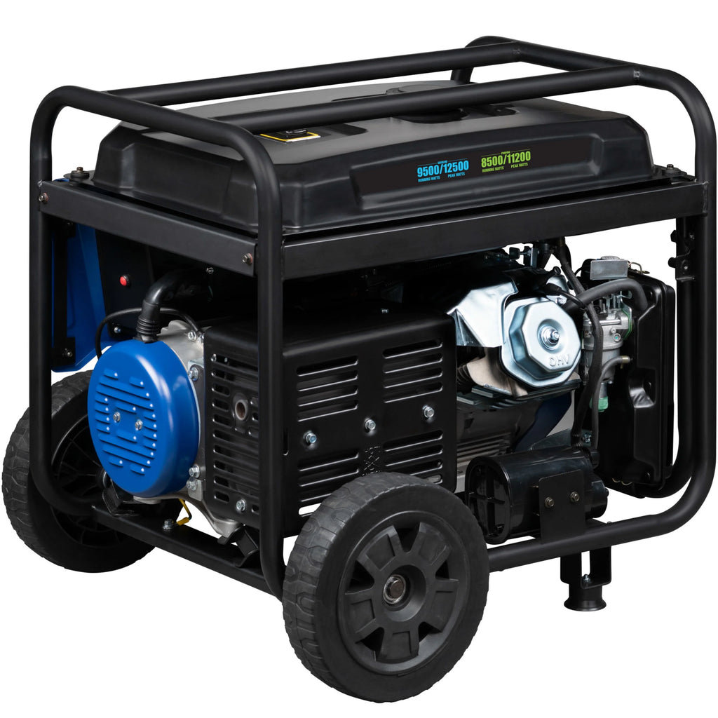12,500 Peak Watt Dual Fuel Portable Generator with Electric Start F213