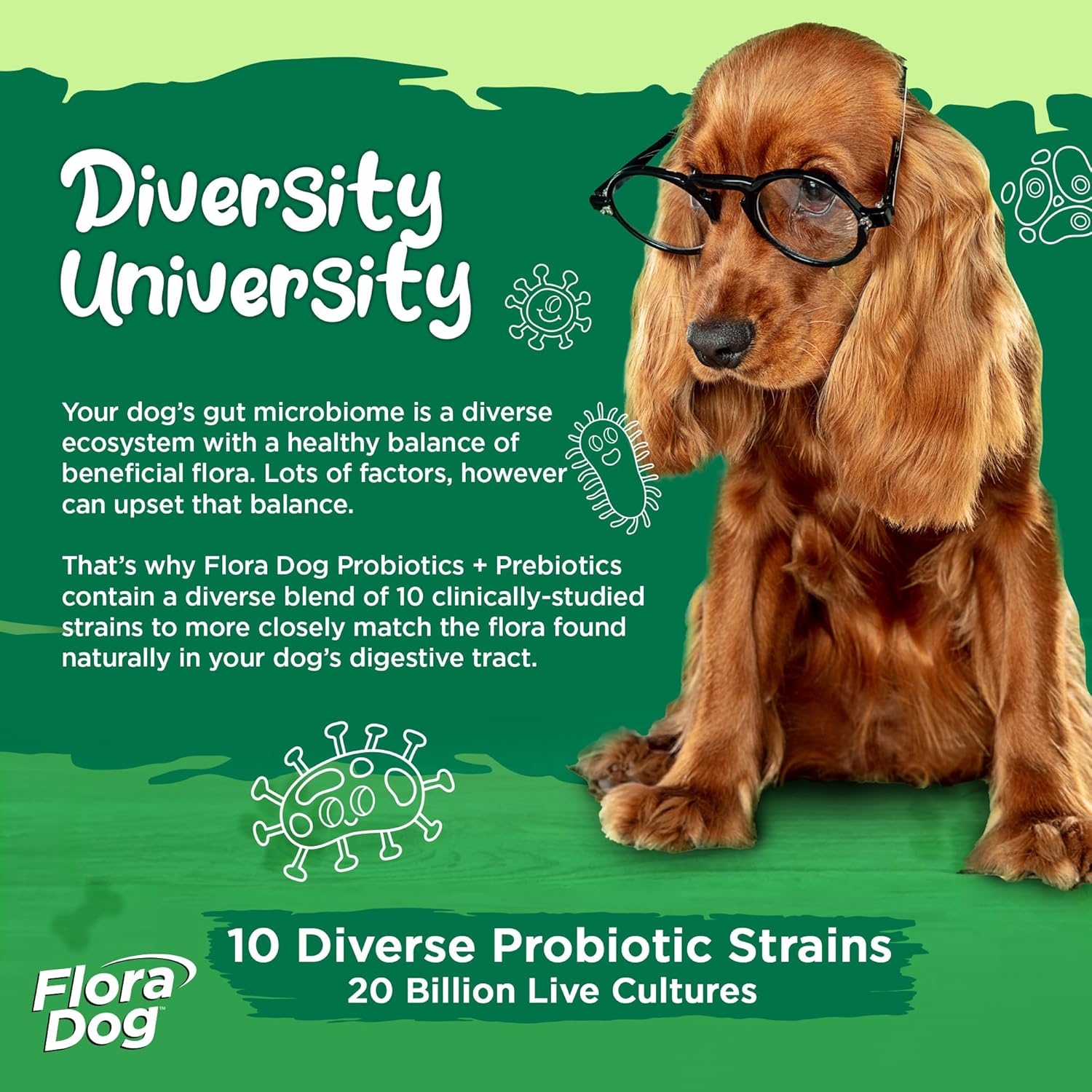 30 Beef Flavored Probiotic Chewable Tablets for Dogs F213