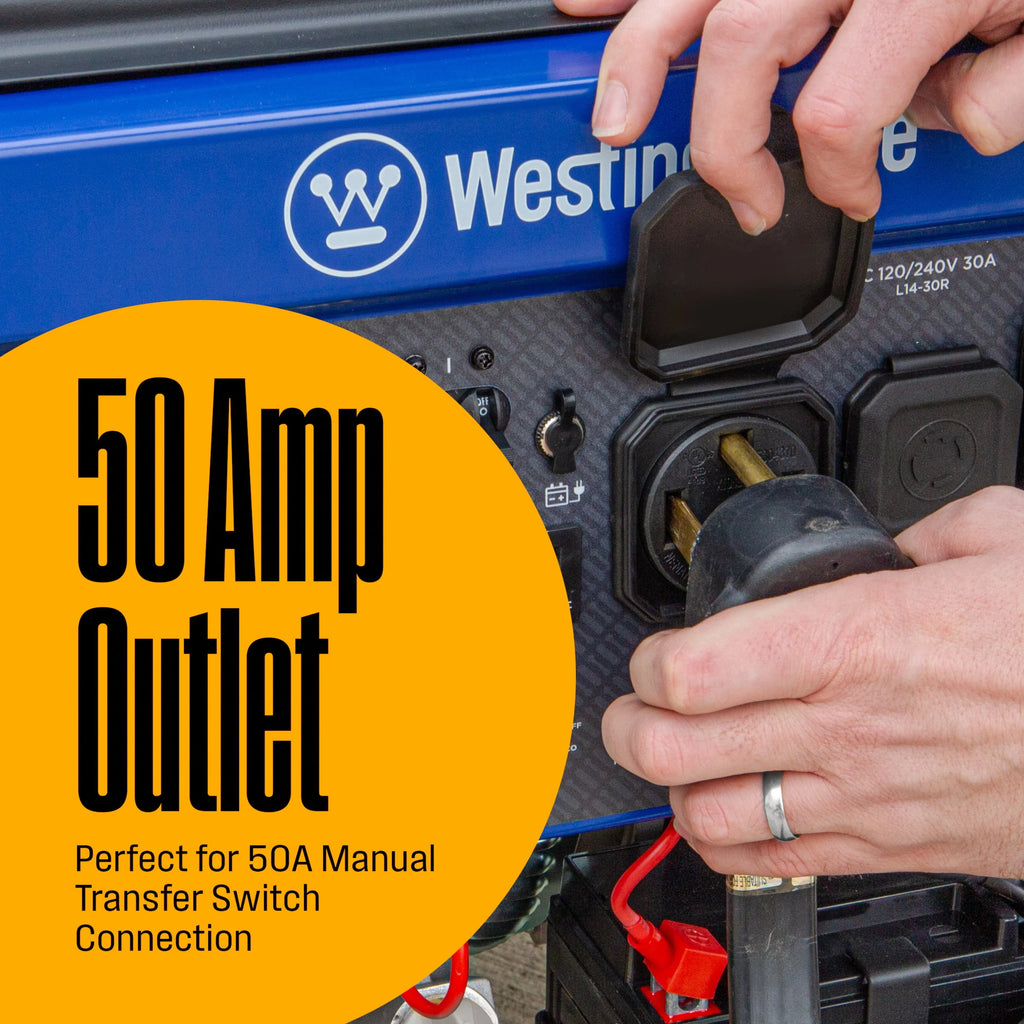 12,500 Peak Watt Dual Fuel Portable Generator with Electric Start F213