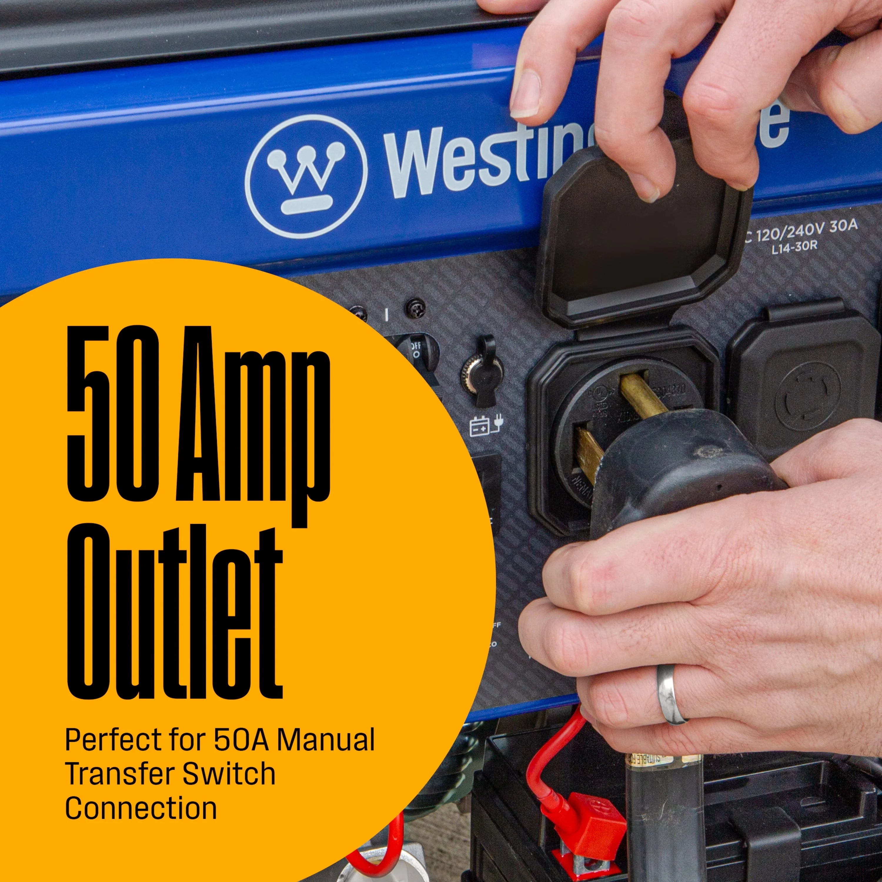 12,500 Peak Watt Dual Fuel Portable Generator with Electric Start F213