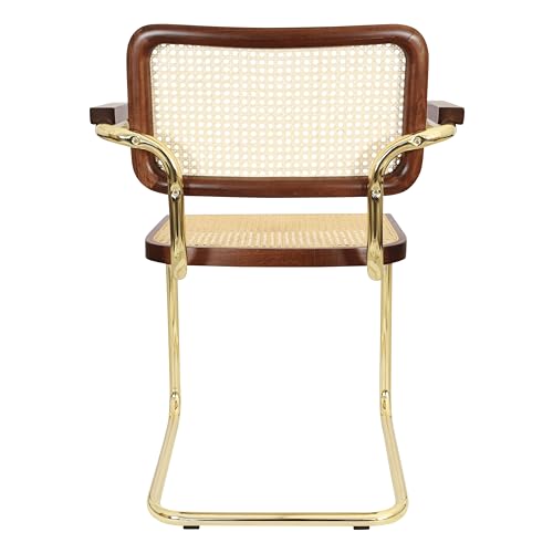 Black Cane Cantilever Armchair with Brass Steel Frame H74794