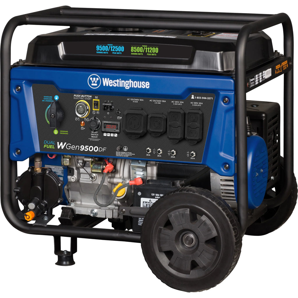 12,500 Peak Watt Dual Fuel Portable Generator with Electric Start F213