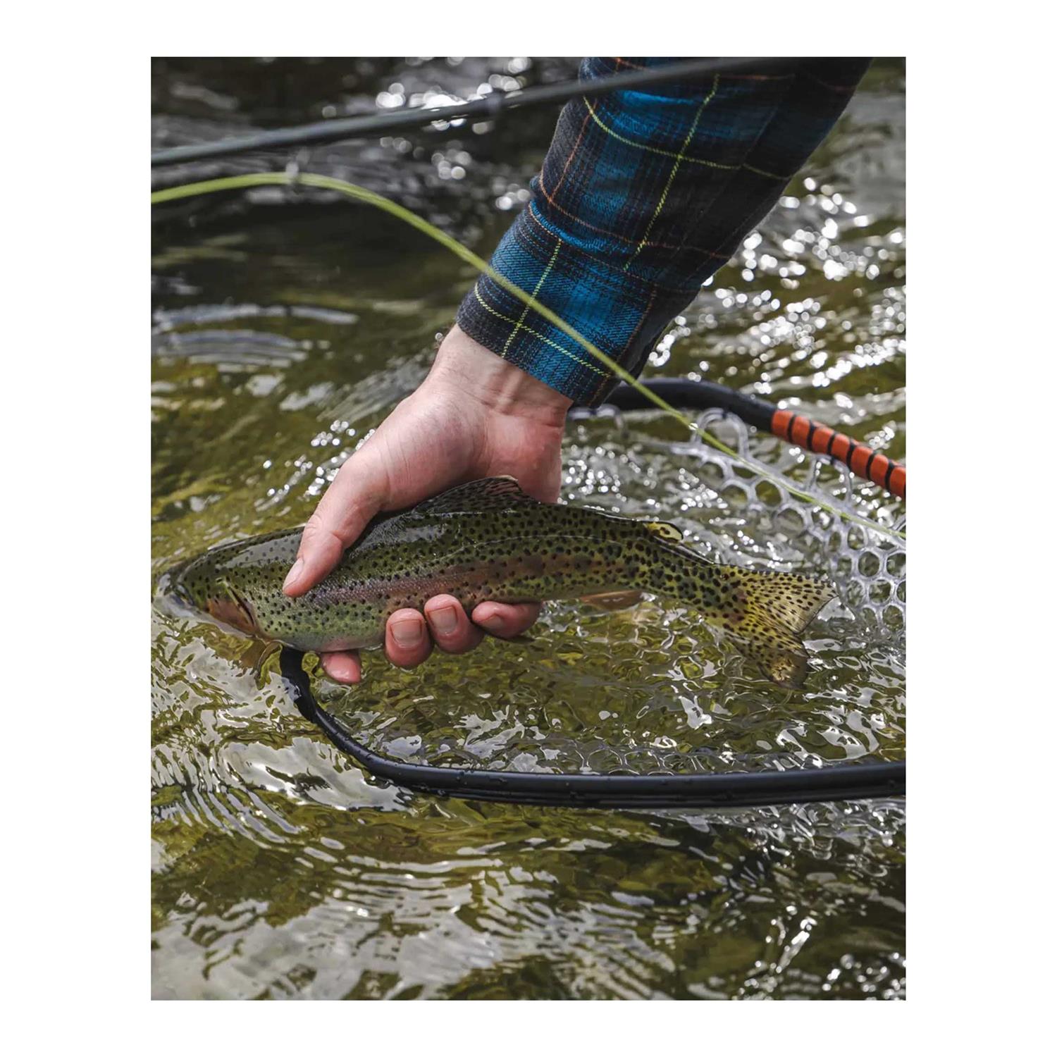 Daymaker Landing Net C65150