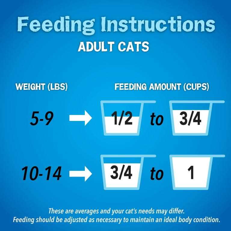 Dry Cat Food P785969