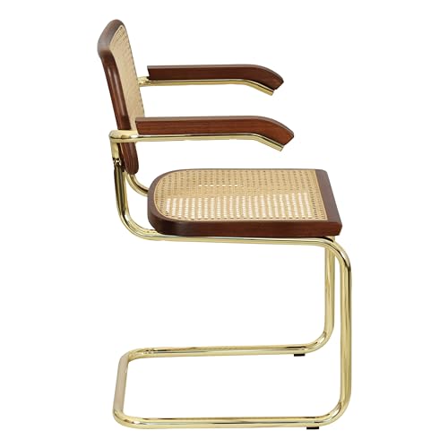 Black Cane Cantilever Armchair with Brass Steel Frame H74794