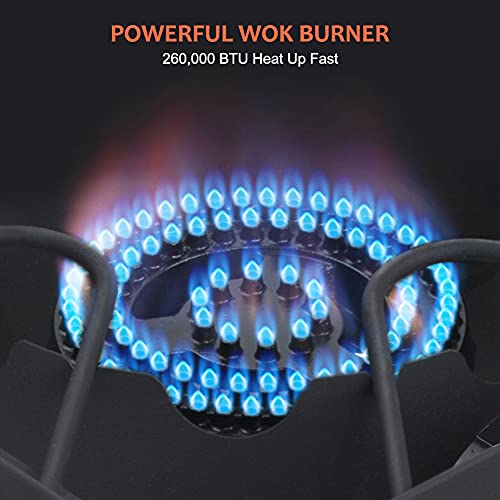 Propane Burner with 29,000 BTU, Single Burner Propane Stove with Regulator and 5.9ft Hose, Cast Iron Burner E7409