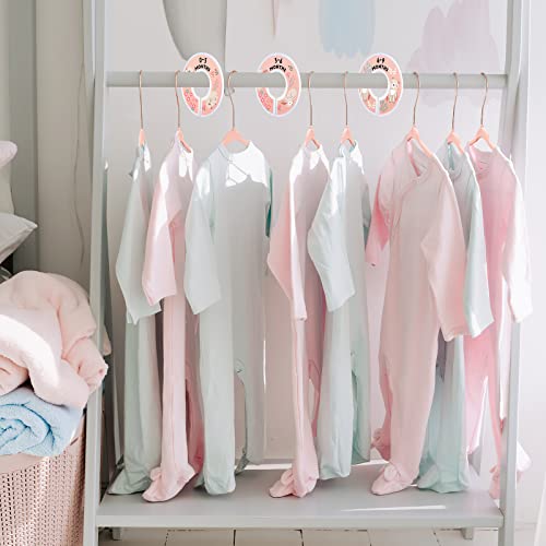 11 Inch Pink Velvet Kids Hangers with 6 Pcs Size Dividers Non Slip - 30 Pack P9028