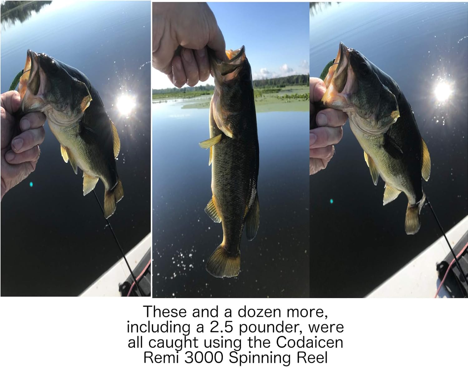 Spinning Reel 3000 O214