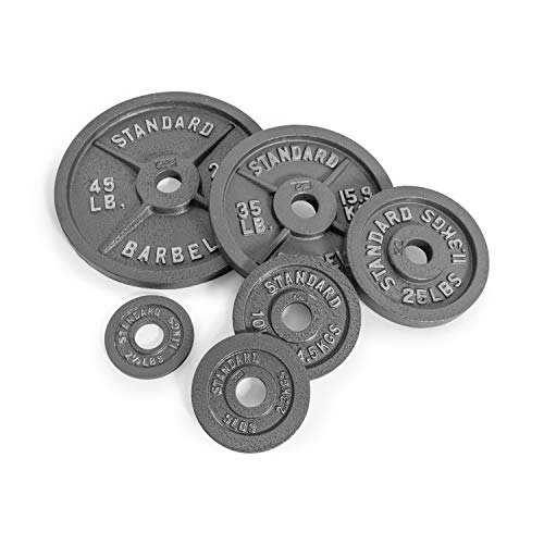 Gray Olympic Weight Plates R8502