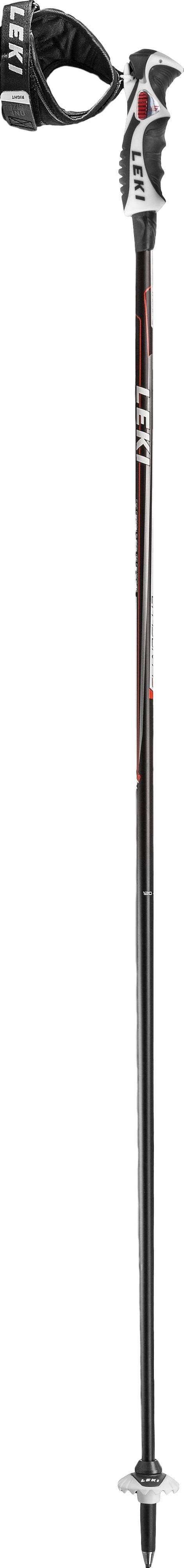 Carbon 14 S Ski Poles E80976