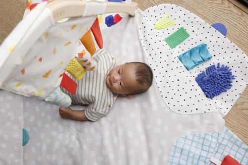 Stage-Based Developmental Activity Gym & Play Mat R992792