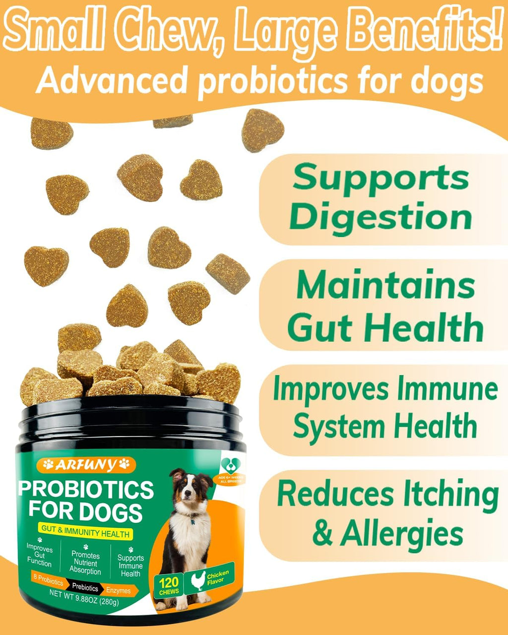 Chicken Flavor Probiotics Chews for Dogs with Prebiotic & Digestive Enzymes (120 Chews) O4722
