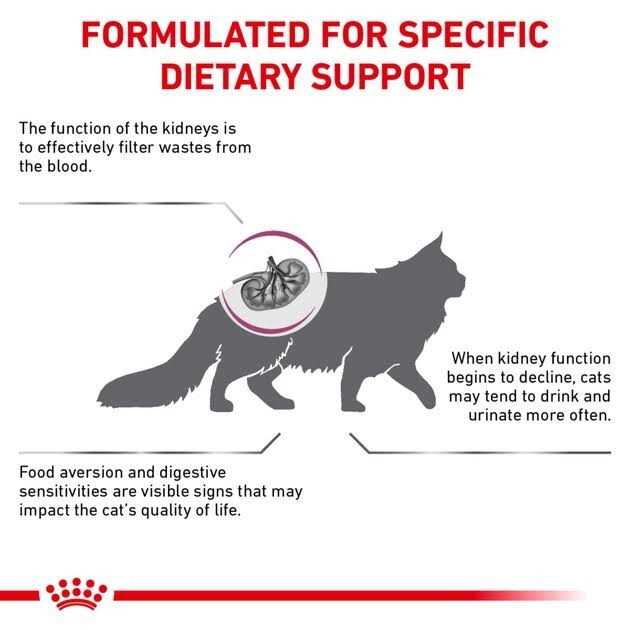 Veterinary Diet Feline Renal Support S Adult Dry Cat Food W443887