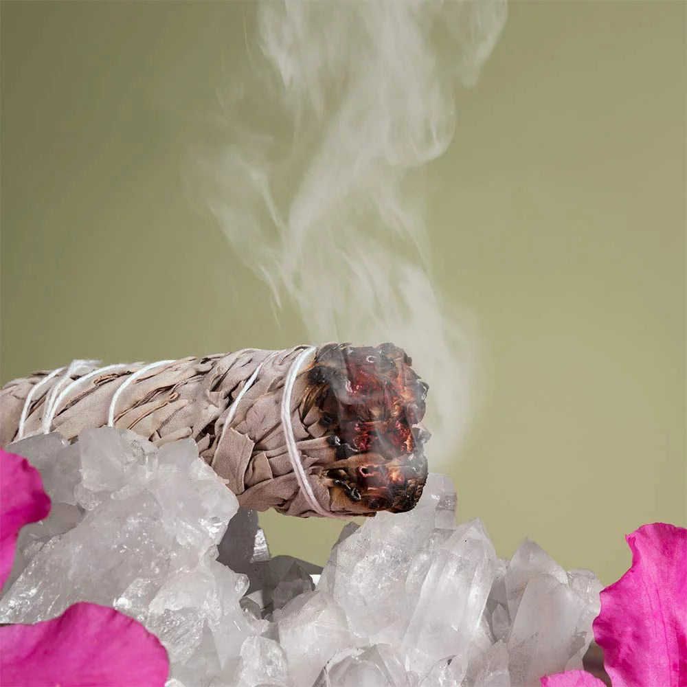 White Sage Bundles 6 Pack 4 inch V745