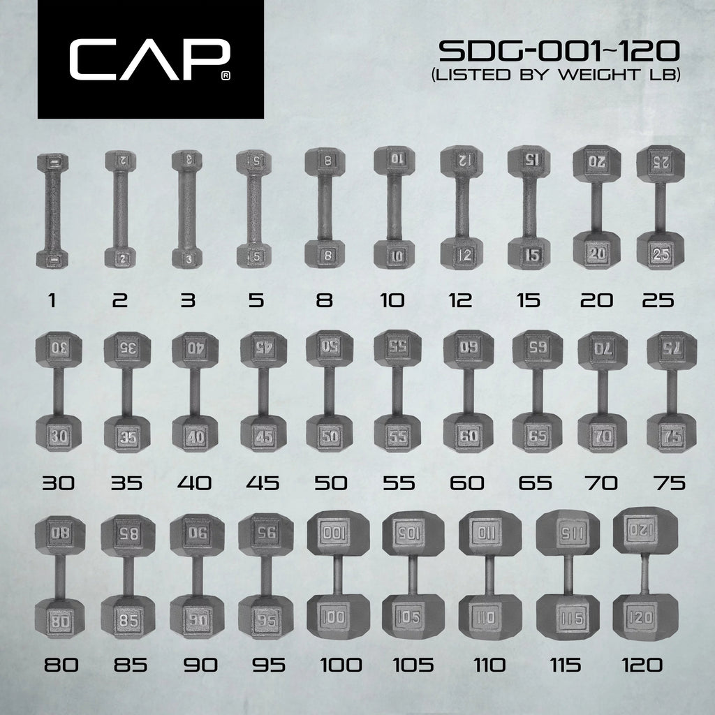 20lb Cast Iron Hex Dumbbell X4540