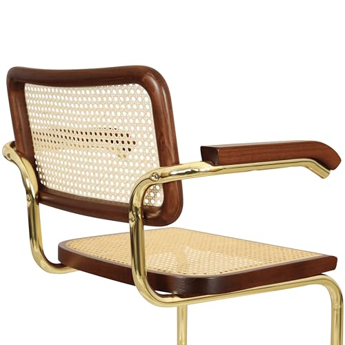 Black Cane Cantilever Armchair with Brass Steel Frame H74794