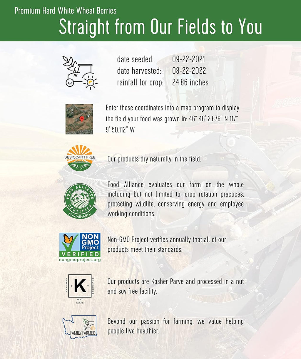 Hard White Wheat Berries 100 LBS Non-GMO Kosher X381519