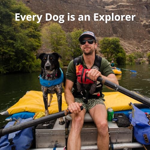 Blue Dusk XX-Small Dog Life Jacket with Handle O424502