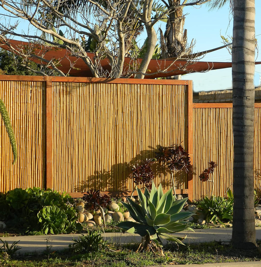 Natural Bamboo Fencing Rolled Fence Panel 0.75 in D x 6 ft H x 8 ft L Y5865