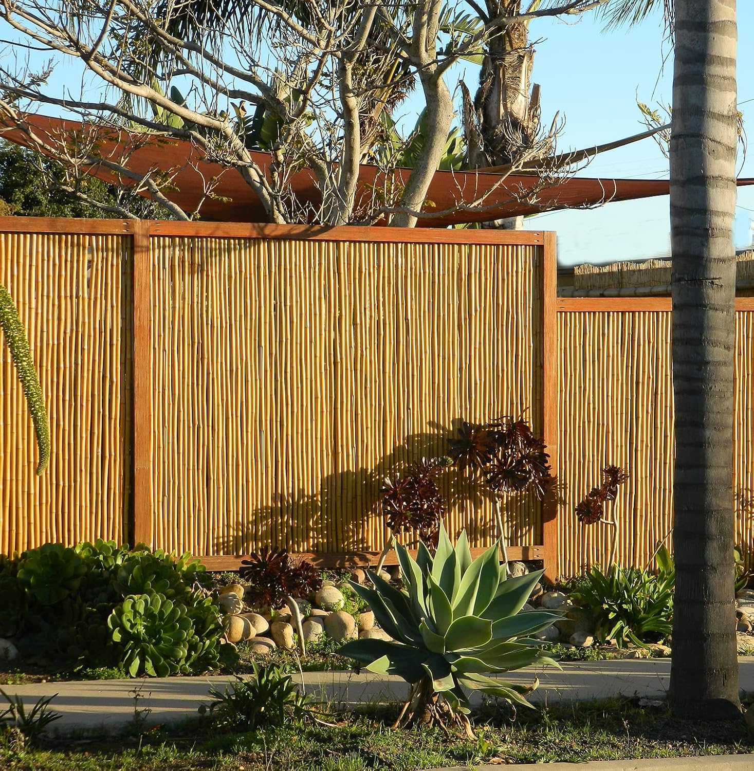 Natural Bamboo Fencing Rolled Fence Panel 0.75 in D x 6 ft H x 8 ft L Y5865
