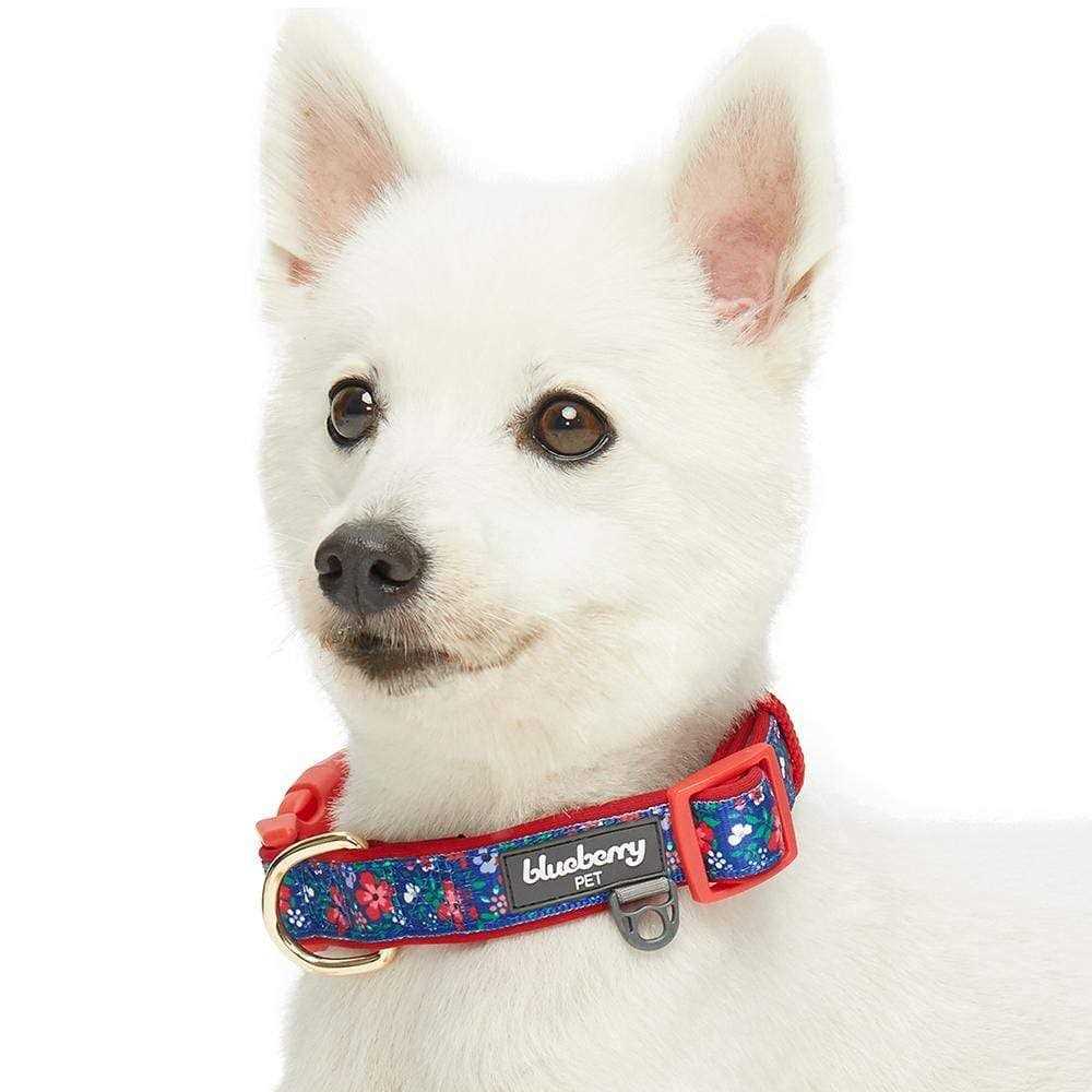 Blueberry Pet Dog Collar O1413