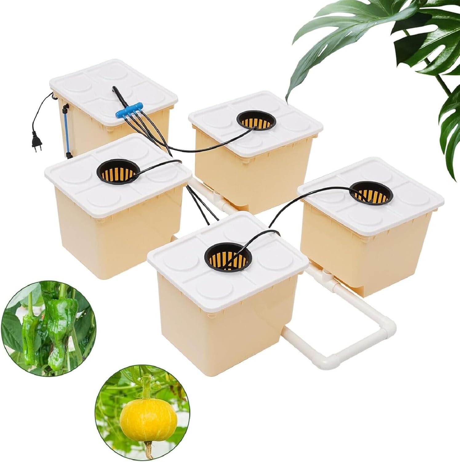 2.91 Gallon Deep Water Culture Hydroponic System with 5 Sites Dutch Buckets F9477