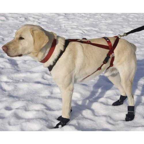 One Harness L712674