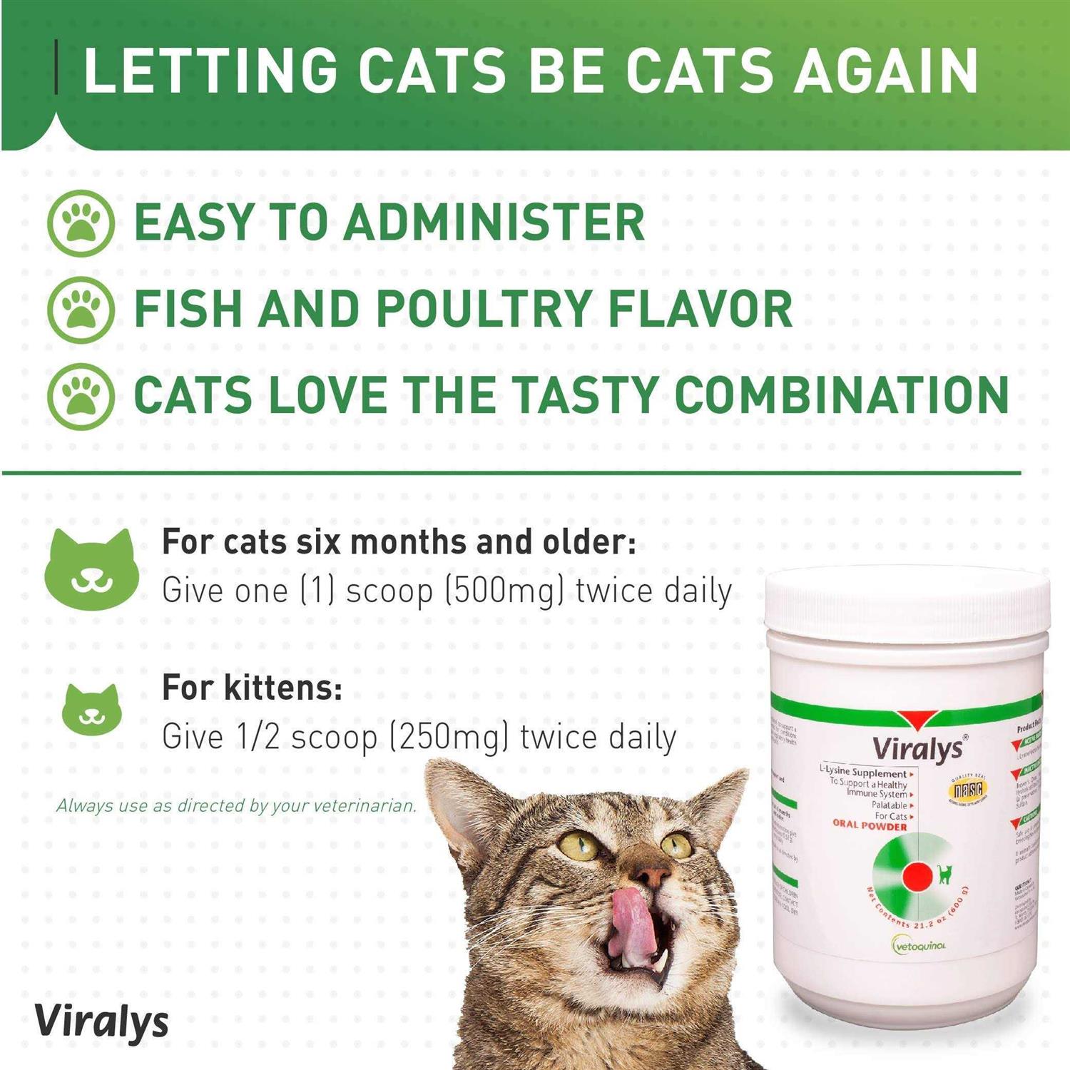 Viralys Powder Q23000