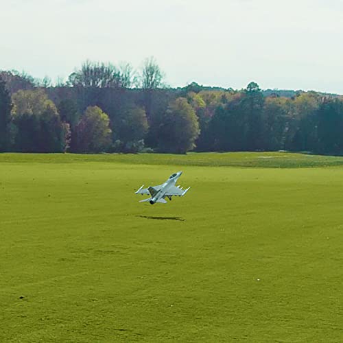 RC Flight Simulator Software D239