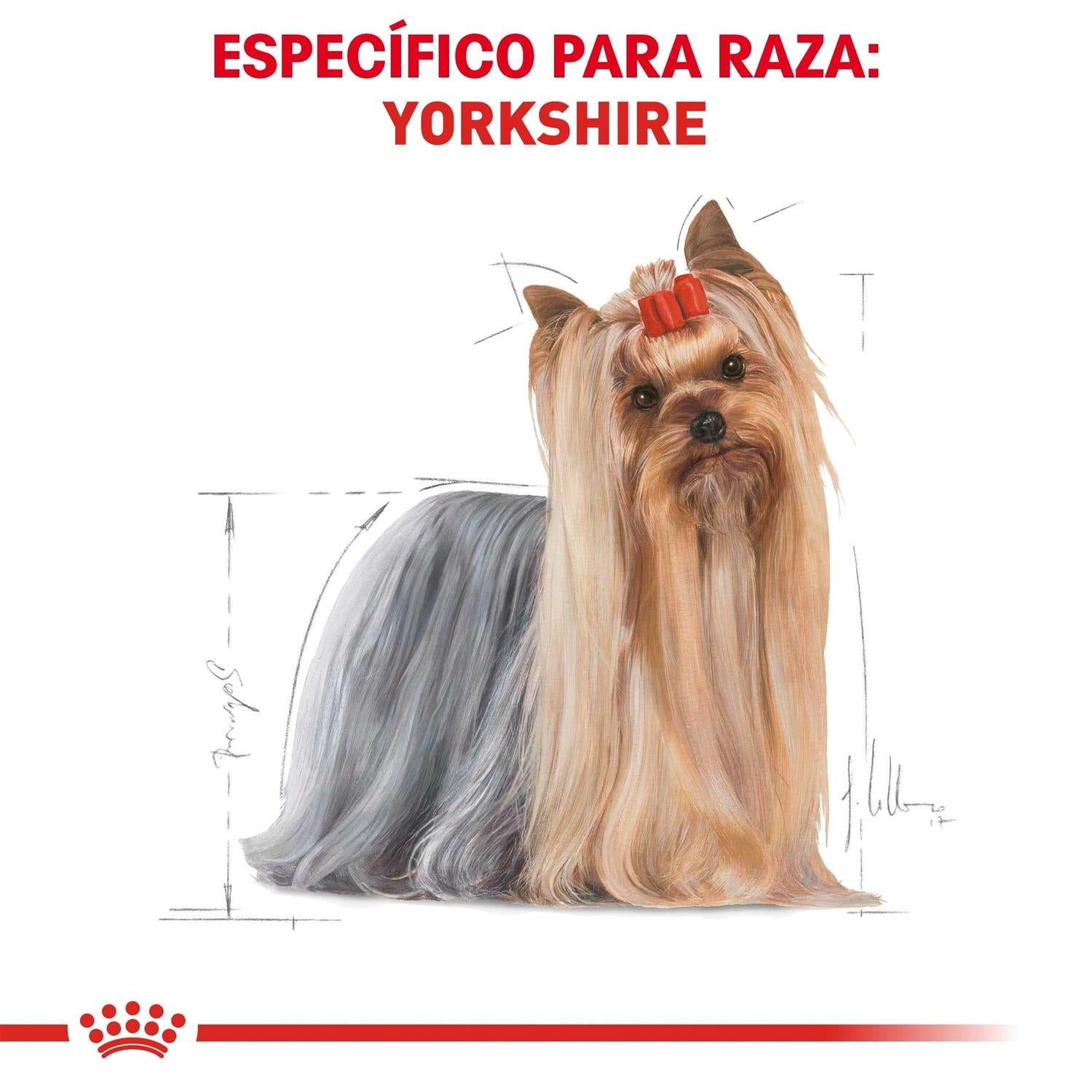 Adult Yorkshire Terrier Dry Dog Food D5897