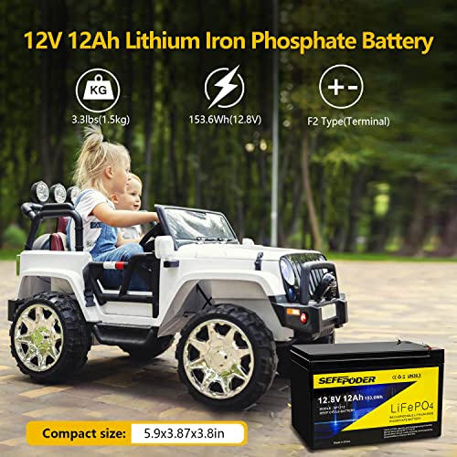 2 Pack 12V 15Ah LiFePO4 Deep Cycle Battery with Built-in 16A BMS G148556