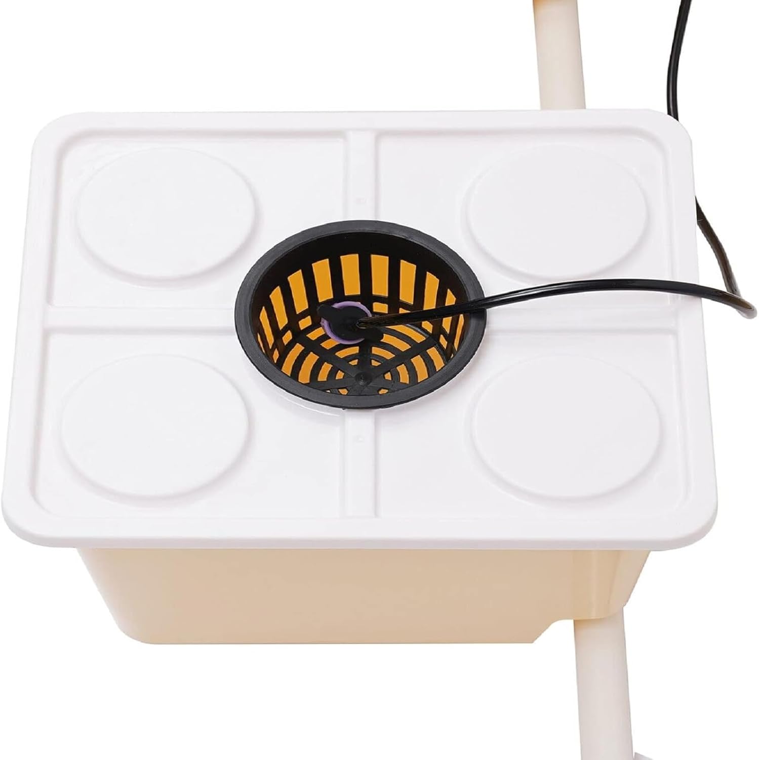 2.91 Gallon Deep Water Culture Hydroponic System with 5 Sites Dutch Buckets F9477